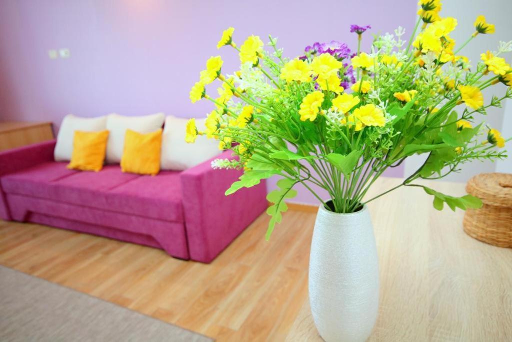Flowers Apartments Timisoara Ngoại thất bức ảnh